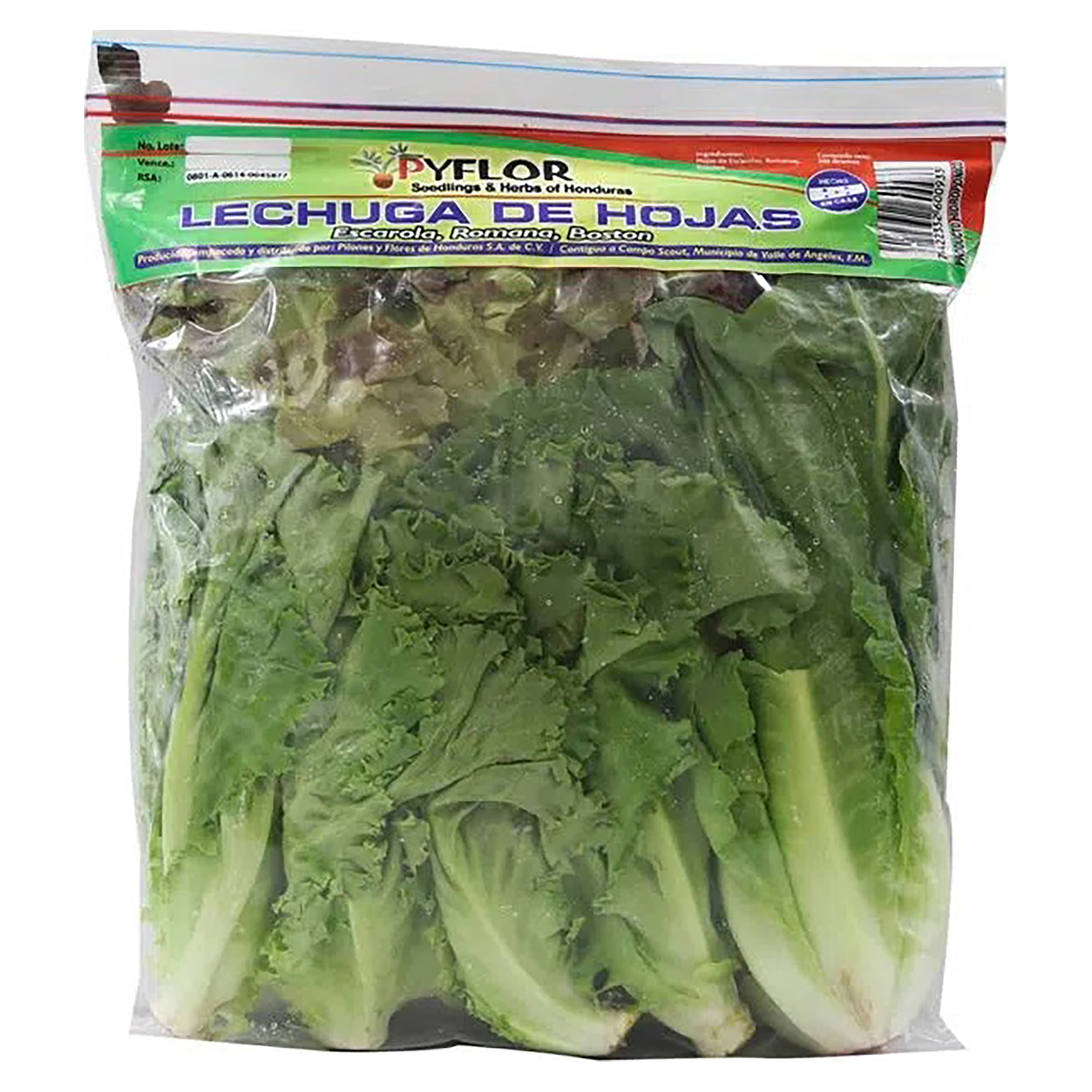 Lechuga-En-Hojas-Pyflor-1-9391