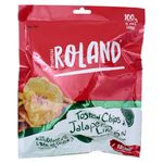 Roland-Toston-Chips-Jalape-o-100-Gr-1-19617