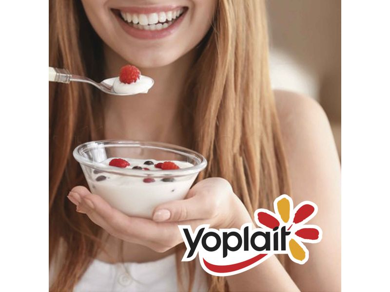 4Pack-Yogurt-Yoplait-Topping-508gr-2-24624