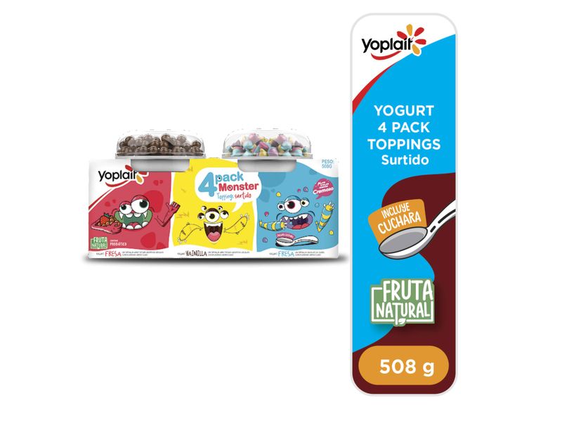 4Pack-Yogurt-Yoplait-Topping-508gr-1-24624