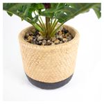 Planta-Mainstays-Artificial-Hoja-Roble-con-Maceta-3-28525