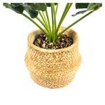 Planta-Mainstays-Artificial-Bonsai-con-Maceta-Color-Beige-2-28526