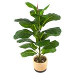 Planta-Mainstays-Artificial-Hoja-Roble-con-Maceta-1-28525