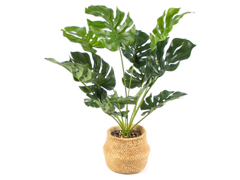 Planta-Mainstays-Artificial-Bonsai-con-Maceta-Color-Beige-1-28526