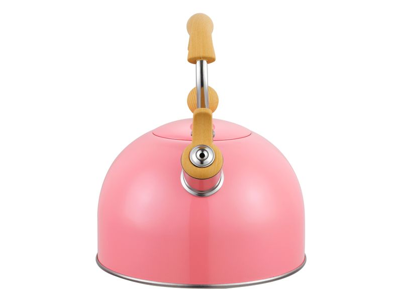 Tetera-Mainstays-con-Recubrimiento-De-Color-2-5lt-12-28194