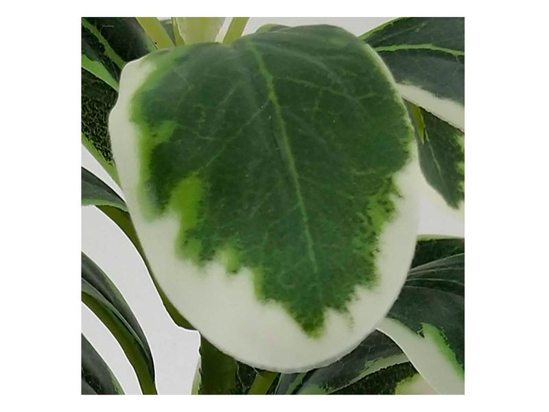 Planta-Mainstays-Artificial-Con-Canasta-19Cm-2-28471