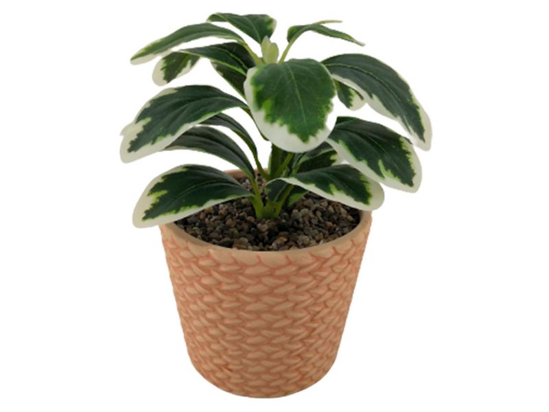 Planta-Mainstays-Artificial-Con-Canasta-19Cm-1-28471