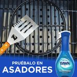 Lavaplatos-Marca-Dawn-Platinum-Powerwash-Aroma-Fresco-473ml-16-26990