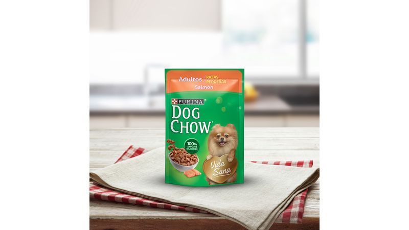 Purina dog best sale chow salmon