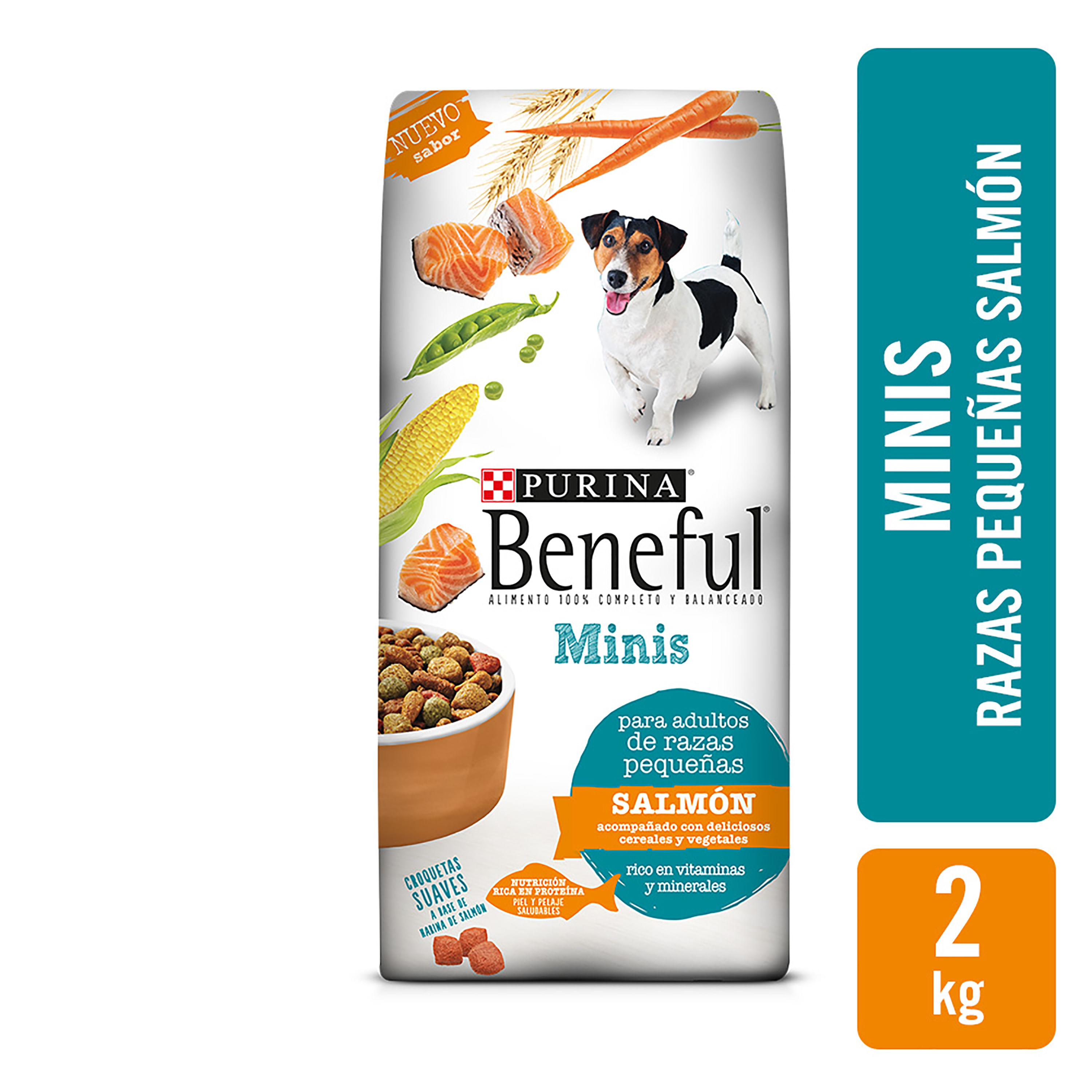 Beneful o clearance dog chow