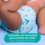 Pa-ales-Marca-Pampers-Baby-Dry-Talla-3-7-15kg-144Uds-12-1620