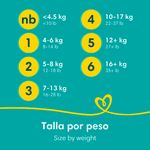 Pa-ales-Marca-Pampers-Baby-Dry-Talla-3-7-15kg-144Uds-13-1620