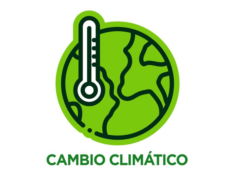 Chile-Amarillo-Libra-3-Unidades-Por-Lb-Aproximadamente-10-76