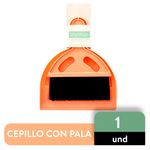 My-Shop-Cepillo-Con-Pala-1-22555