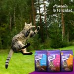 Alimento-Marca-Gati-Para-Gato-Adulto-Sabor-Pollo-M-s-2-Meses-1kg-6-3908
