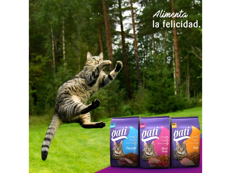 Alimento-Marca-Gati-Para-Gato-Adulto-Sabor-Pollo-M-s-2-Meses-1kg-6-3908