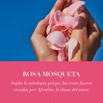 GTIN-7500435145510-07