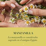 GTIN-0381519180750-07