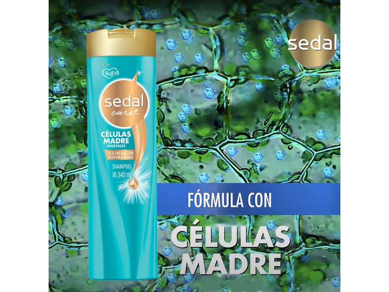 Shampoo-Marca-Sedal-Celulas-Madres-340ml-4-31258