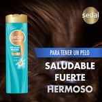 Shampoo-Marca-Sedal-Celulas-Madres-340ml-5-31258