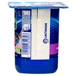 Yogurt-Moras-Mixtas-Marca-Sula-Bisignan-125-Gr-2-31817