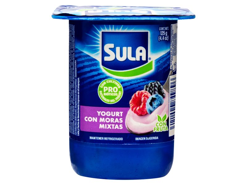 Yogurt-Moras-Mixtas-Marca-Sula-Bisignan-125-Gr-1-31817