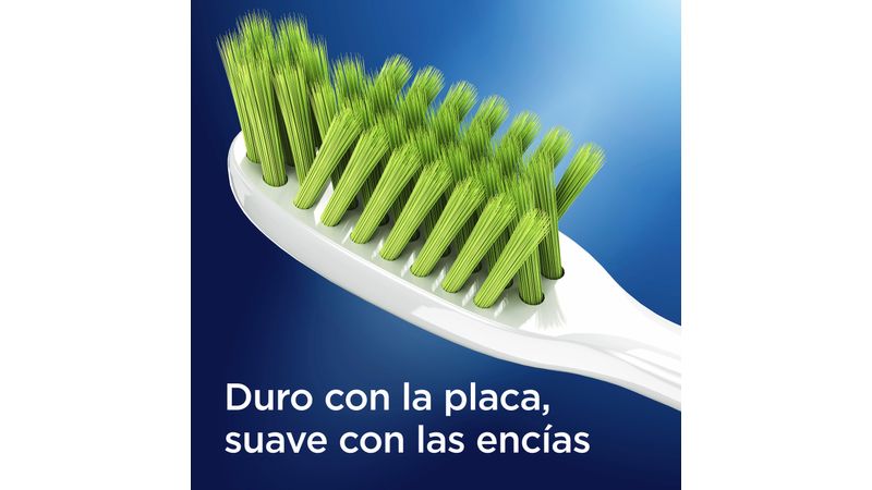 CEPILLO DENTAL ORAL B ENCIAS DETOX 3 PZA - FARMAVALOR :. +Salud +Belleza  +Bienestar