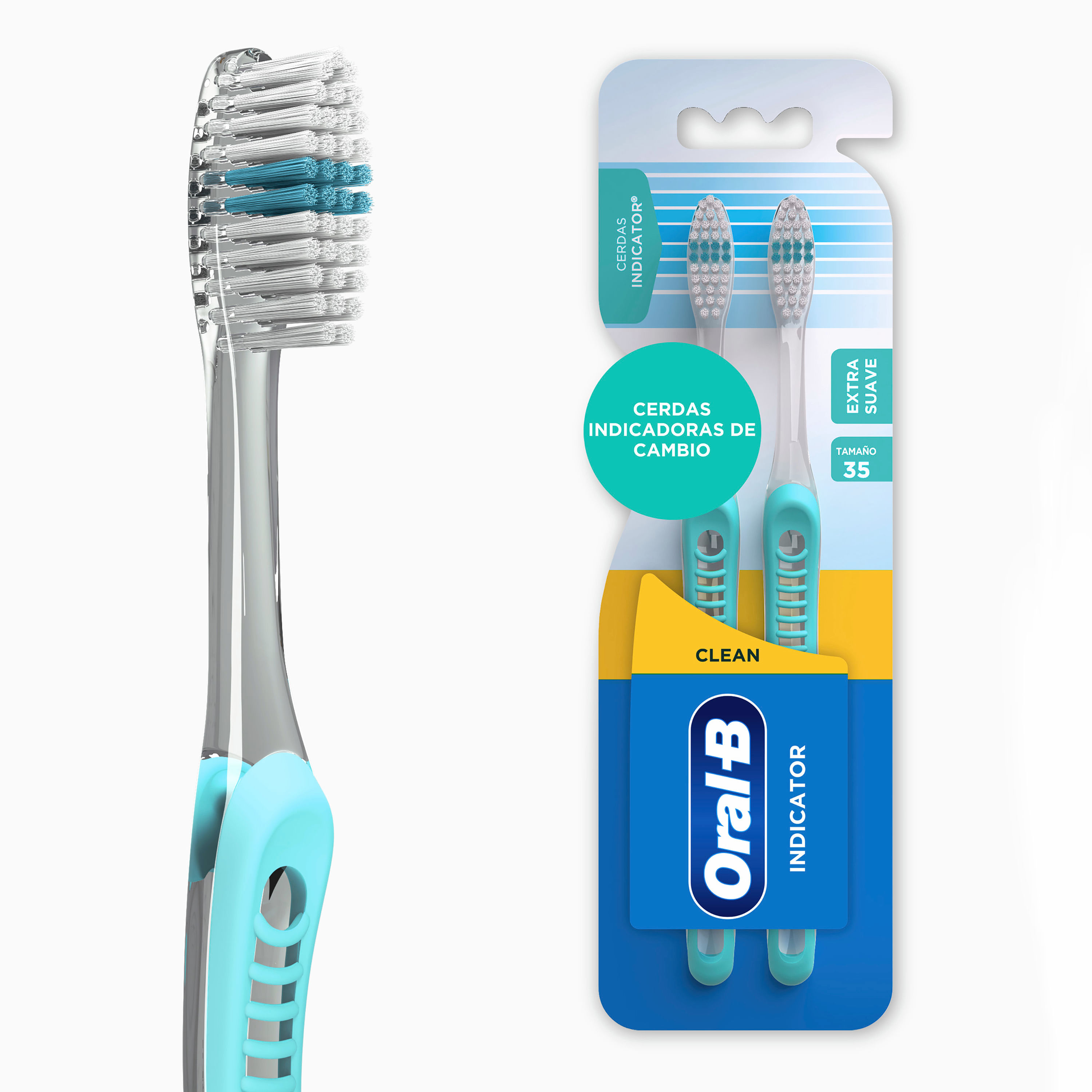 Cepillos de dientes desechables con pasta de dientes (5 colores surtidos) :  .es: Salud y cuidado personal
