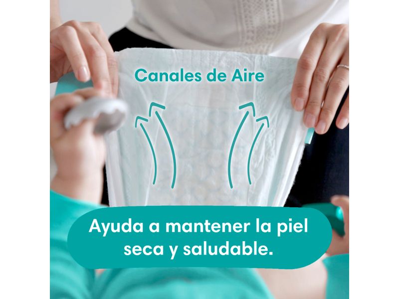 Pa-ales-Pampers-Baby-Dry-Talla-4-92-Uds-7-1617