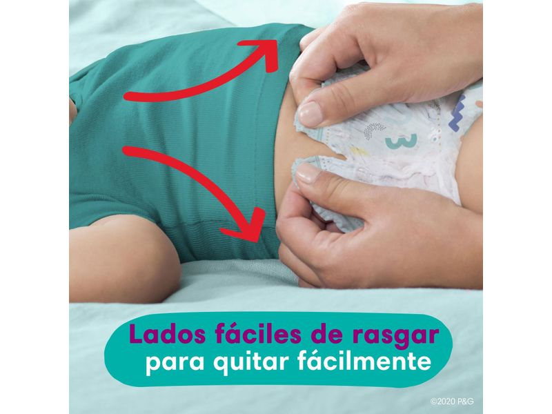 Pa-ales-Pampers-Cruisers-360-S5-56-Unidades-12-1567