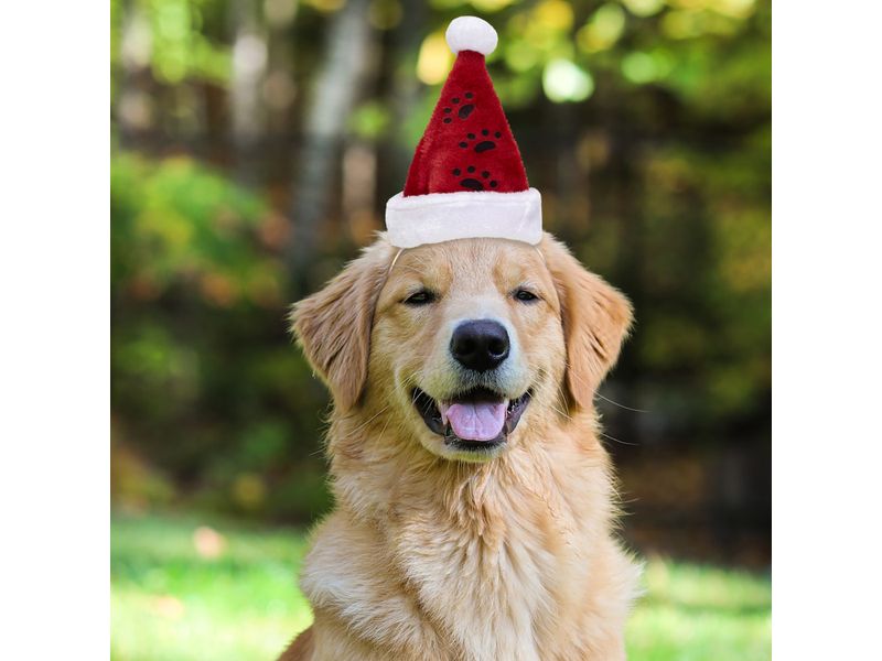 Gorro-Santa-Marca-Holiday-Time-Para-Mascotas-25cm-3-15026
