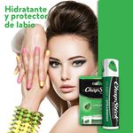 Protector-Chapstick-Classi-Spearmint-4gr-3-33963