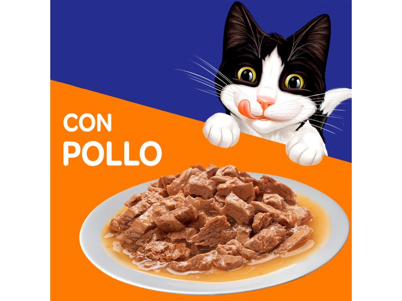 Alimento-H-medo-Gato-Adulto-Purina-Felix-Pollo-85g-7-11954