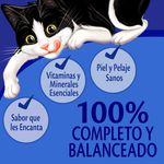 Alimento-H-medo-Gato-Adulto-Purina-Felix-Pollo-85g-8-11954