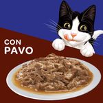 Alimento-H-medo-Gato-Adulto-Purina-Felix-Pavo-85g-7-11948