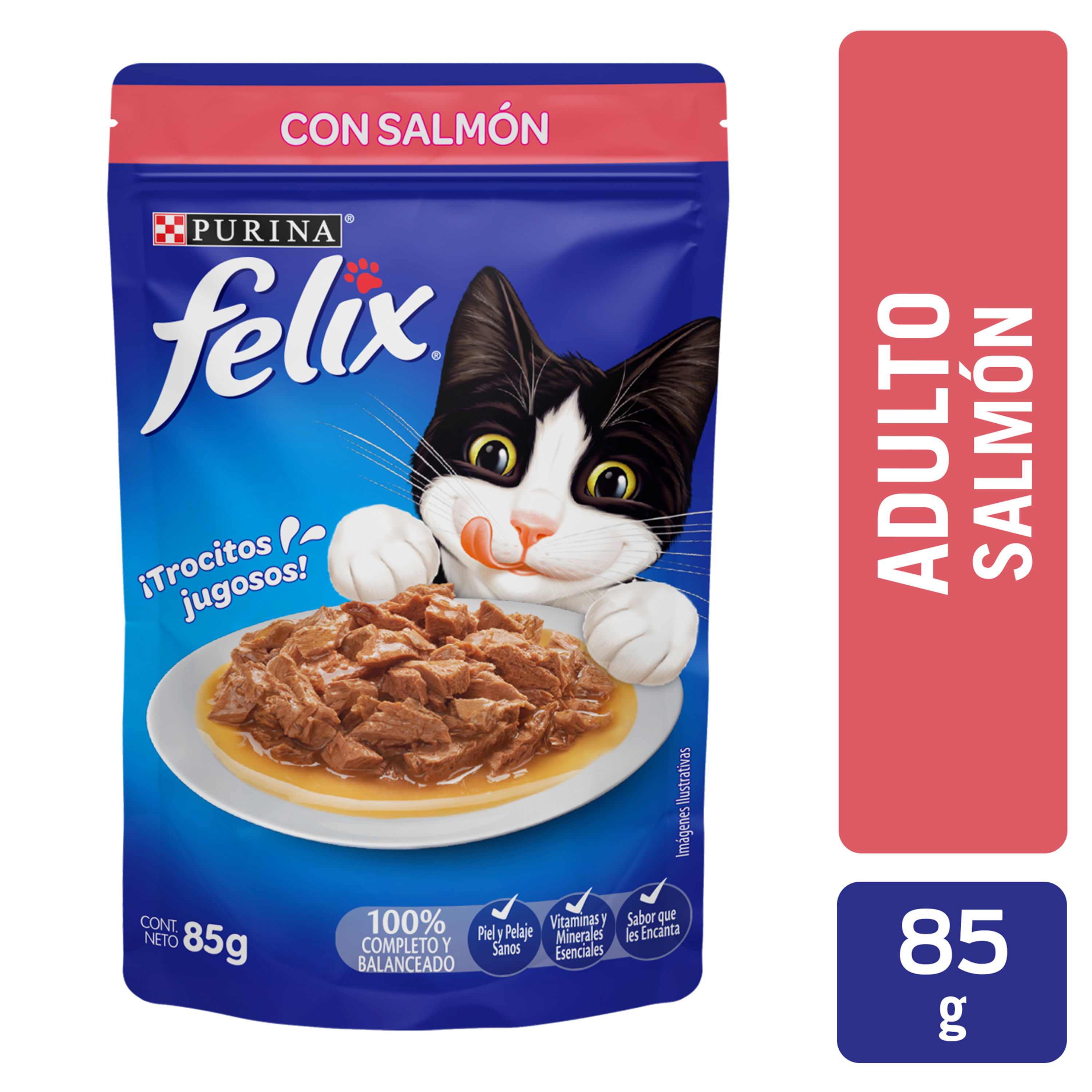 Alimento-H-medo-Gato-Adulto-Purina-Felix-Salm-n-85g-1-11953