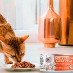 Alimento-H-medo-para-Gato-Special-K-Sabor-Pollo-140Gr-7-32961