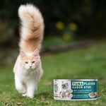 GTIN-7441078234196-07