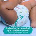 Pa-ales-Pampers-Baby-Dry-Talla-3-7-15kg-144Uds-3-1620