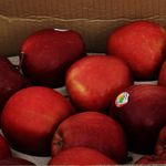 Manzana-Roja-Caja-40-Libras-2-10074