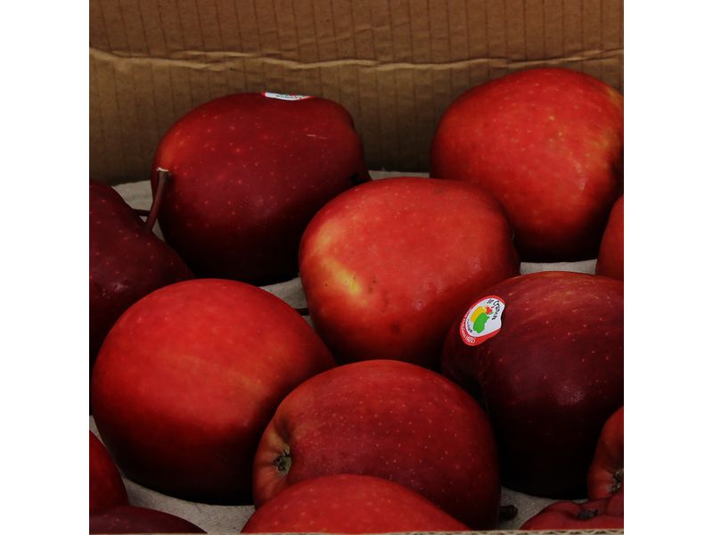 Manzana-Roja-Caja-40-Libras-2-10074