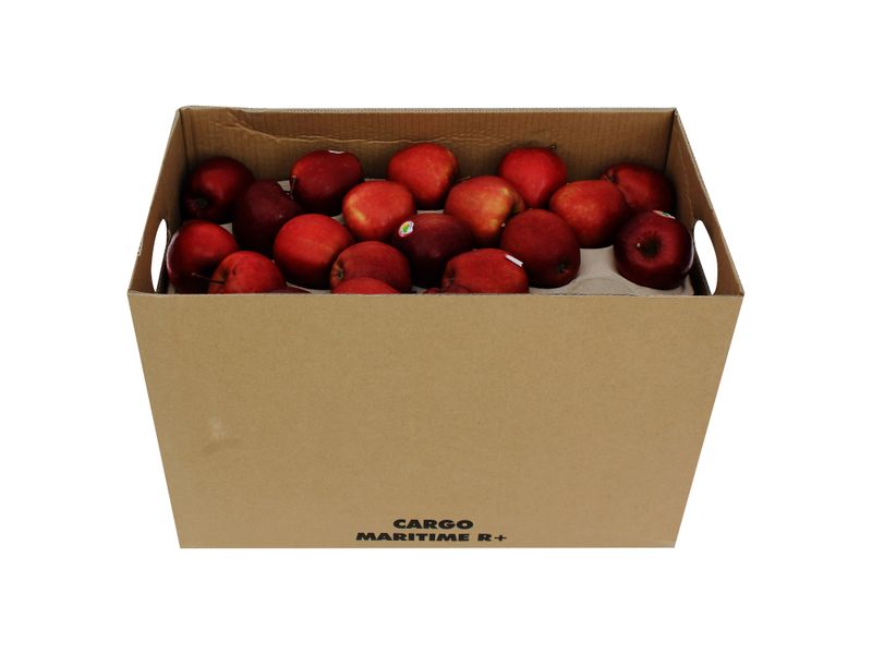 Manzana-Roja-Caja-40-Libras-1-10074