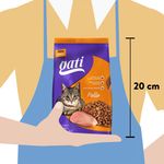 Alimento-Gati-Para-Gato-Adulto-Sabor-Pollo-M-s-2-Meses-1kg-5-3908
