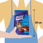 Alimento-Gati-Para-Gato-Adulto-Sabor-A-Pescado-M-s-2-Meses-1kg-3-3907
