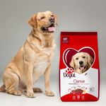 Alimento-Dogui-Perro-Adulto-Sabor-Carne-Y-Arroz-18-Meses-En-Adelante-4kg-8-3914