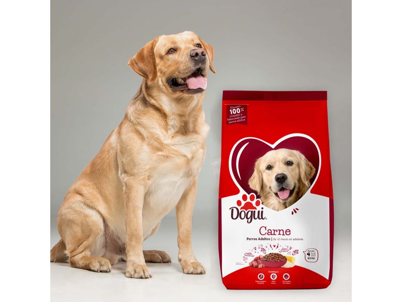 Alimento-Dogui-Perro-Adulto-Sabor-Carne-Y-Arroz-18-Meses-En-Adelante-4kg-8-3914