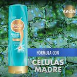 Acondicion-Sedal-Celulas-Madres-340ml-4-31256