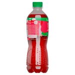 T-Rojo-Ar-ndano-Dos-Pinos-500ml-3-33476