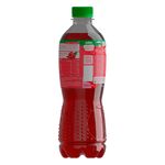 T-Rojo-Ar-ndano-Dos-Pinos-500ml-4-33476