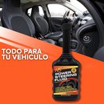 Limpia-Inyectores-Hs-12-Onzas-4-32561